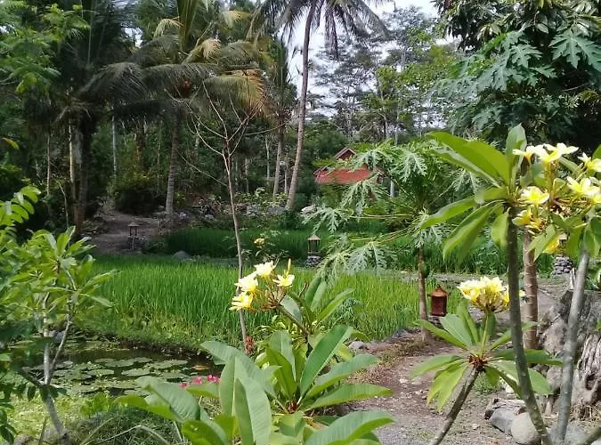 Loka Amertha Maison d'hôtes Sidemen (Bali)