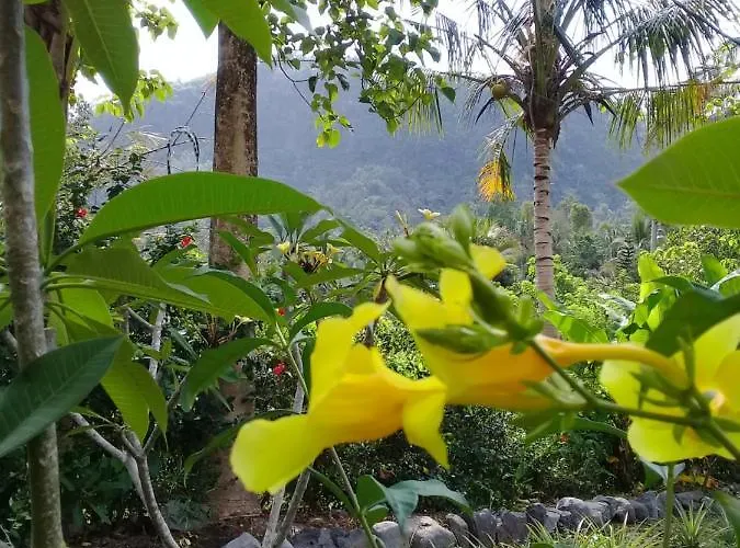Loka Amertha Maison d'hôtes Sidemen (Bali)