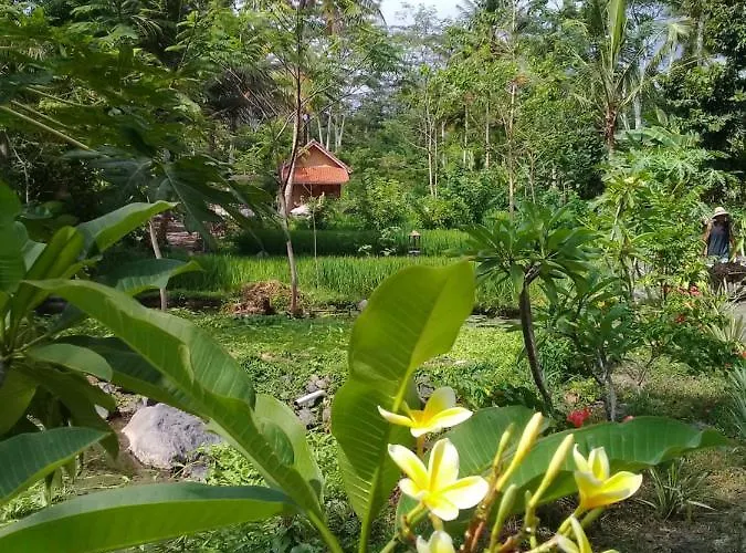 Loka Amertha Maison d'hôtes